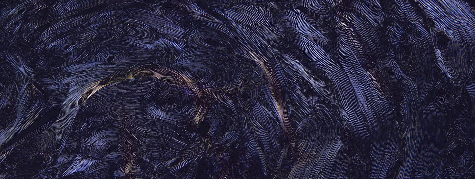 银河。脱钙骨组织切片，×100，偏振光，2017