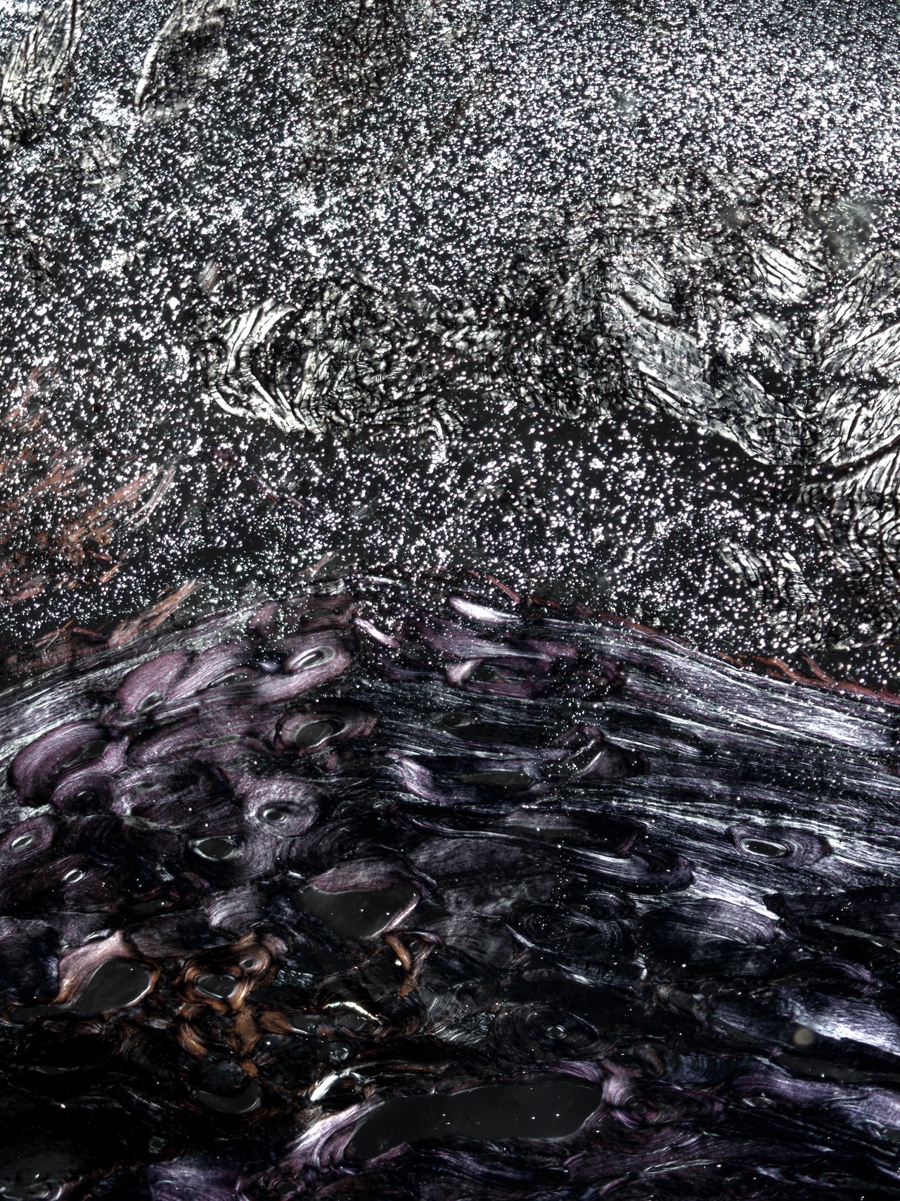 w-1-日出, 骨髓组织切片, X200倍, 明视野, 2012.jpg