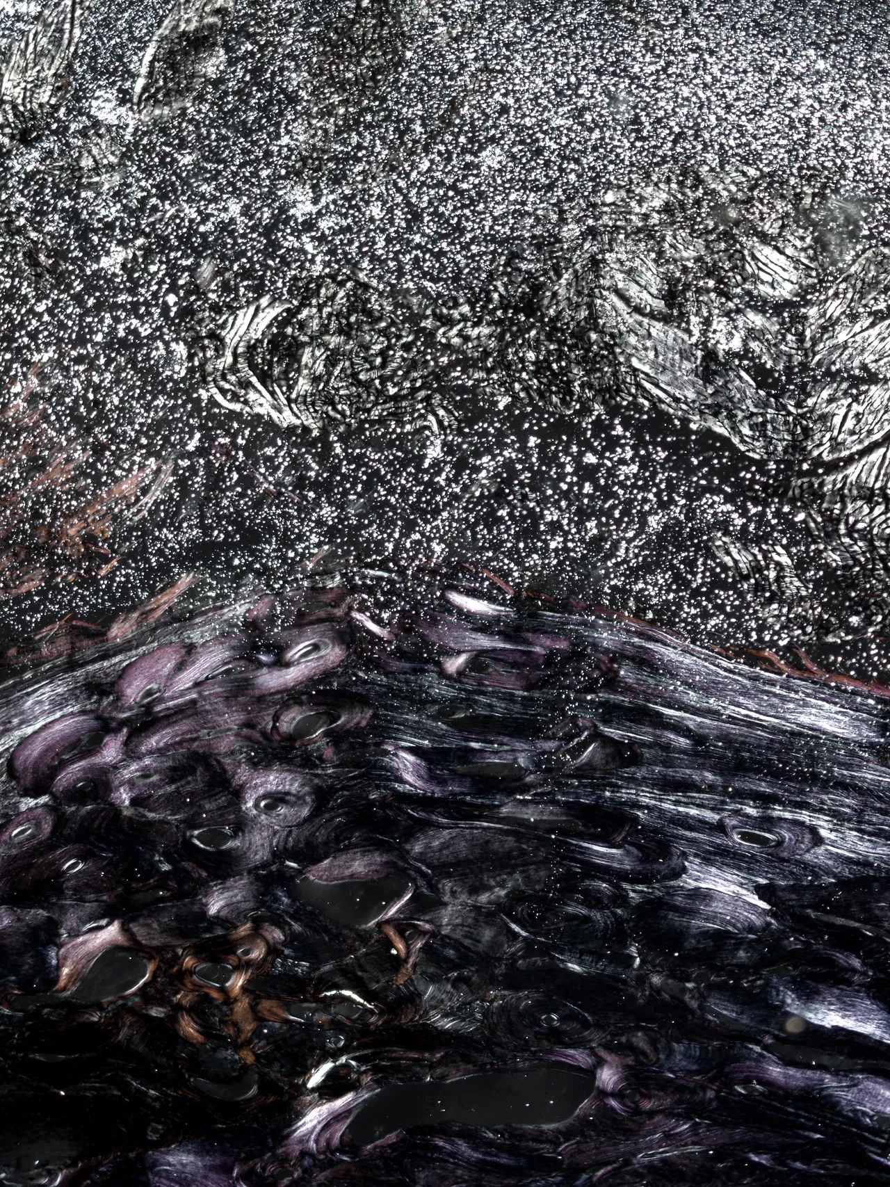 雪夜。脱钙骨组织与肌肉组织切片, X40倍, 偏振光, 2013