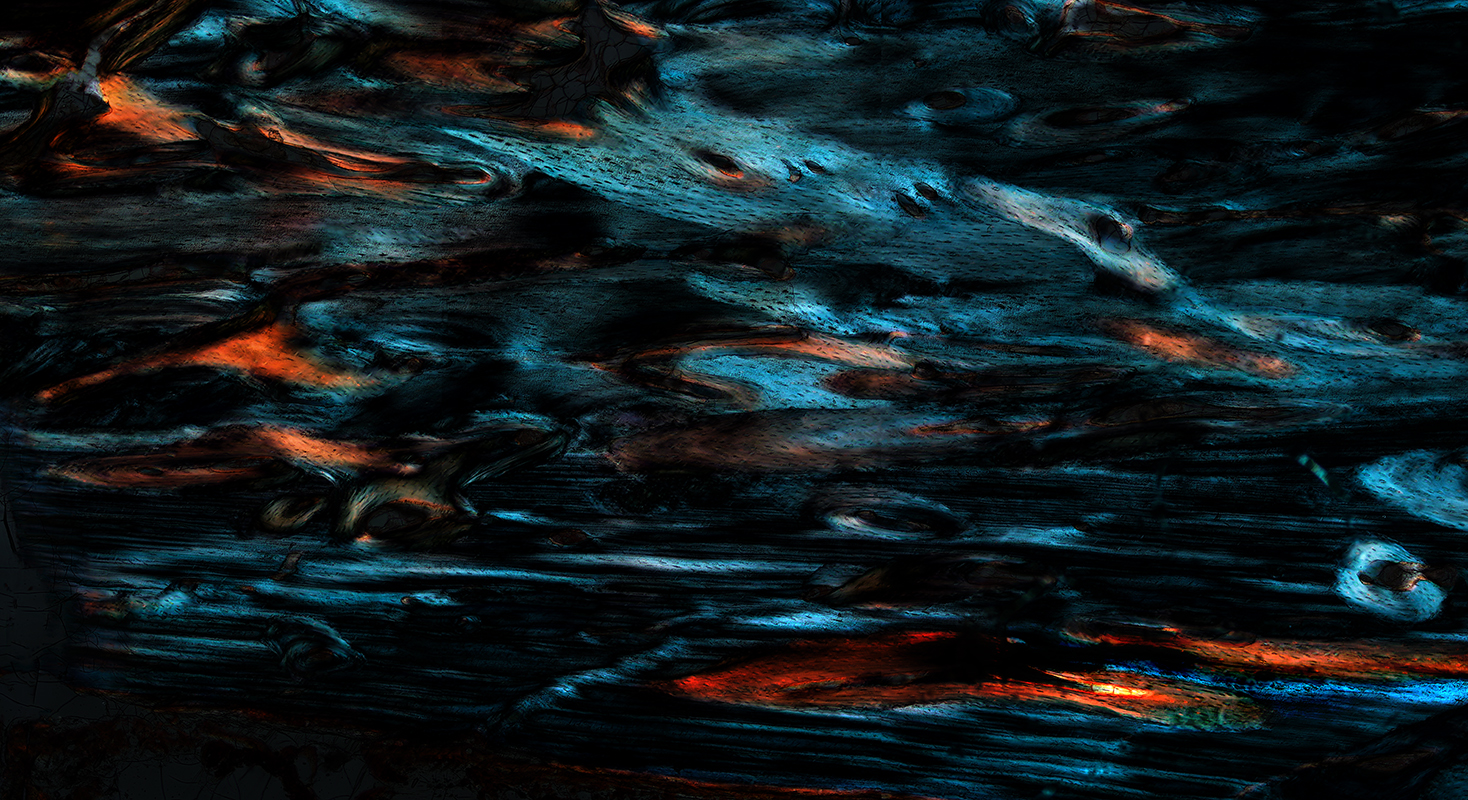 w-1-日出, 骨髓组织切片, X200倍, 明视野, 2012.jpg