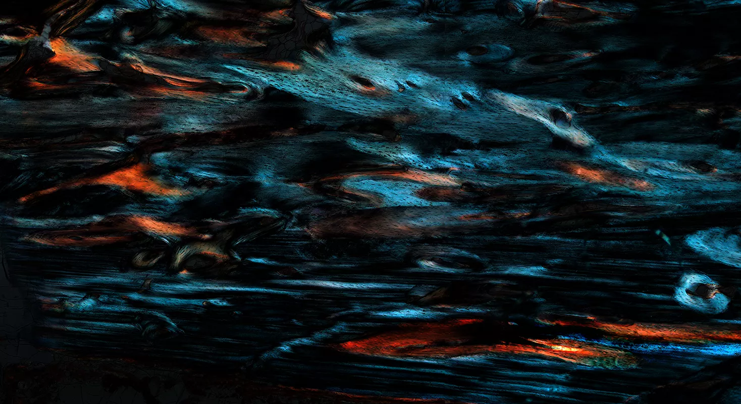 夜未央。未脱钙骨组织磨片，X100，偏振光，2020
