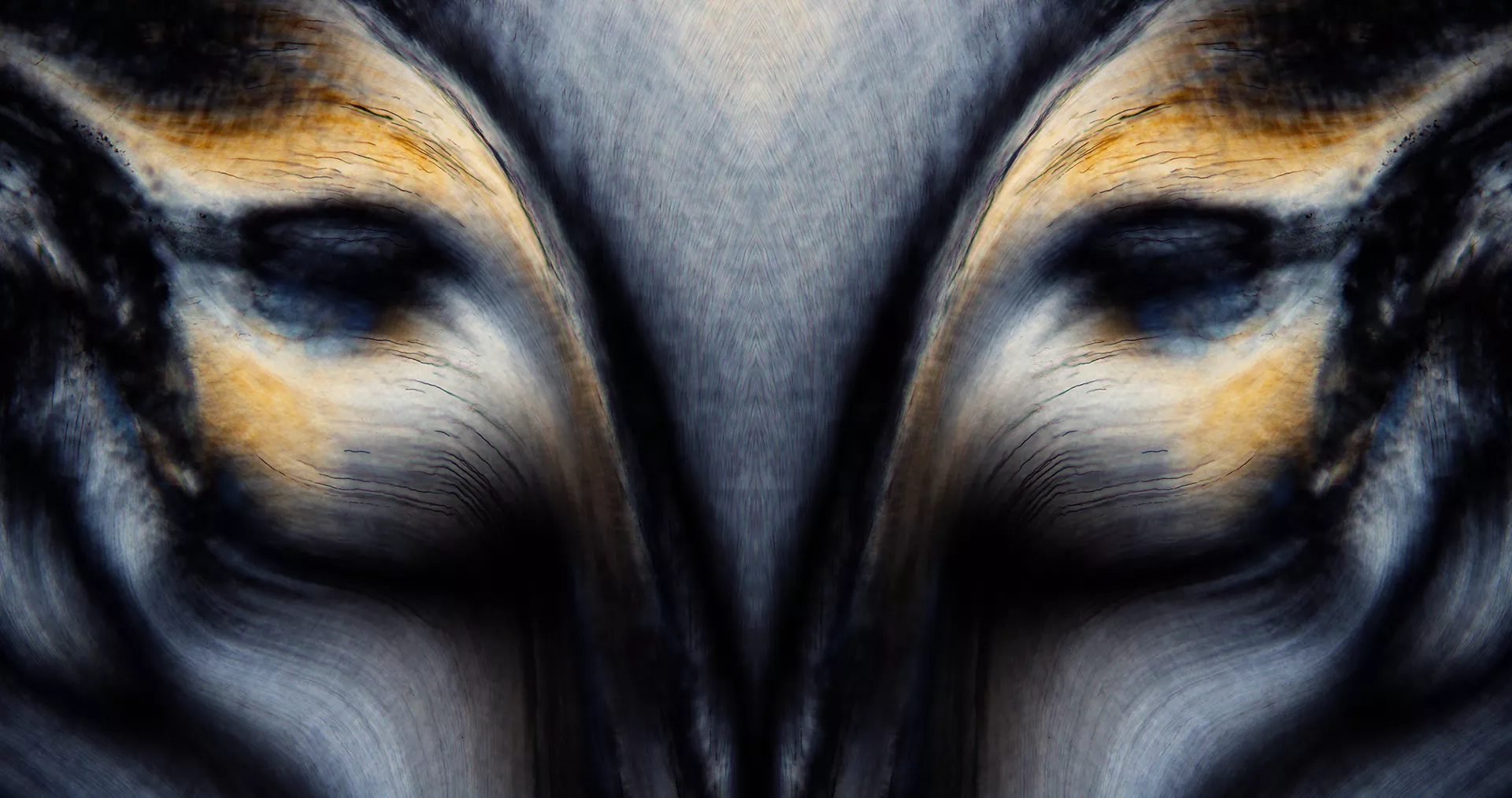 狐仙。牙齿磨片局部的镜像，X100，偏振光， 2014
