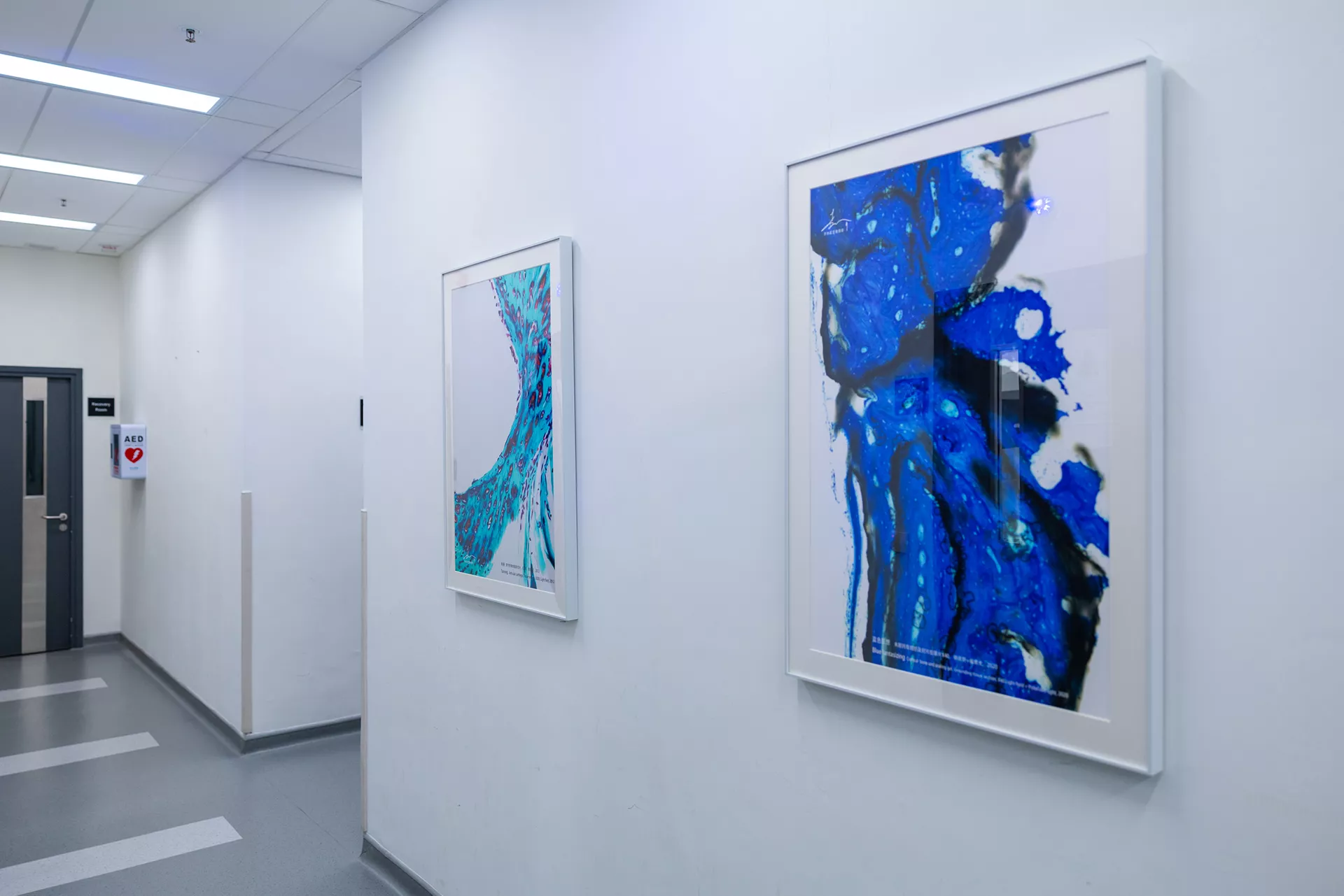 w-香港牙医学院-观展-15861761229029_.pic_hd.jpg