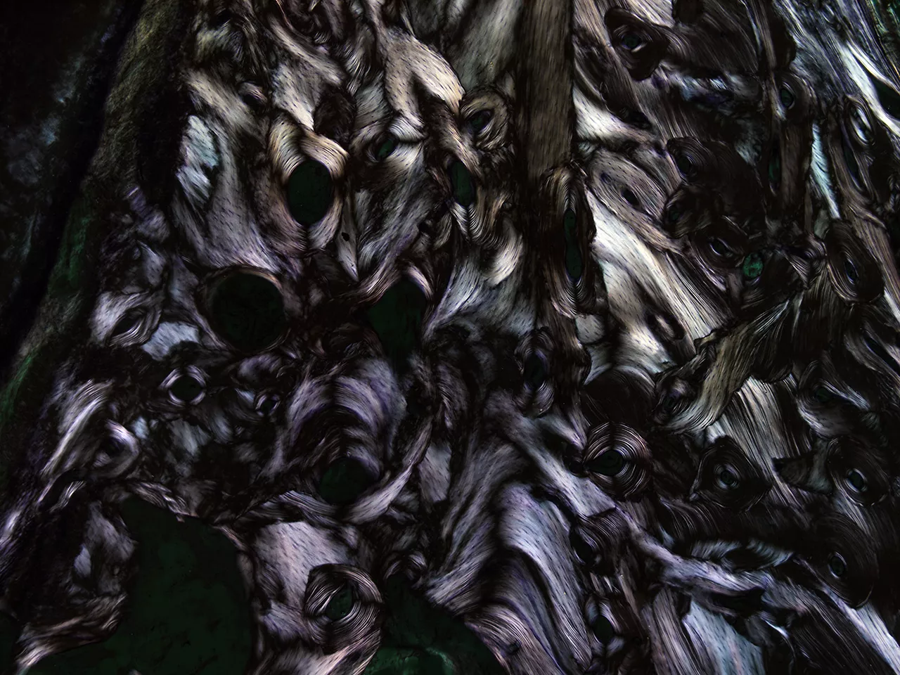 凝固的时间No.3。脱钙骨组织切片，X40， 偏振光，2015