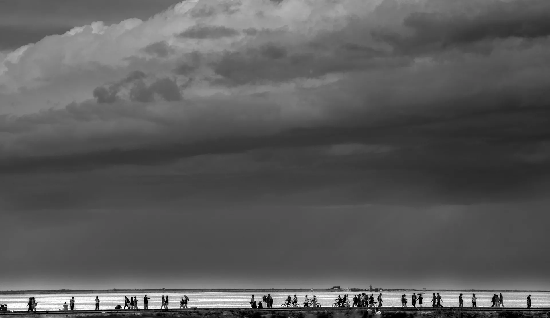 119-2014-7青海湖2_resize.jpg