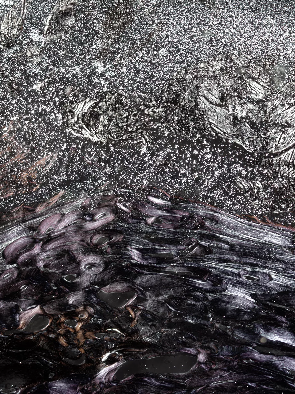 雪夜。脱钙骨组织与肌肉组织切片，X40，偏振光，2013